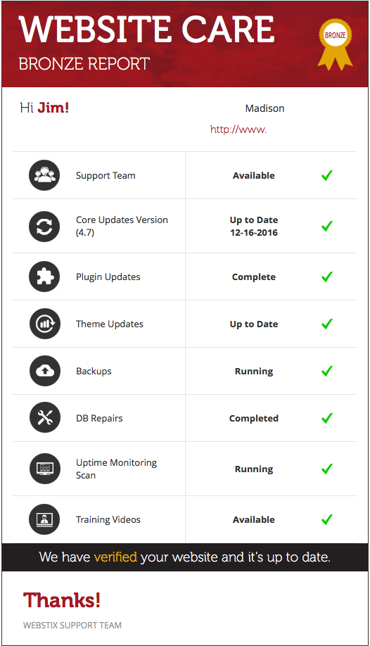 Webstix Website Care Report