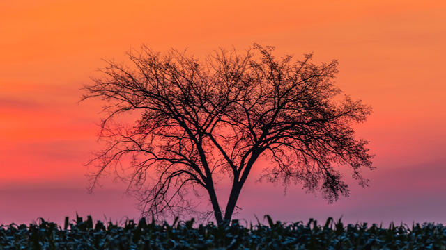 Sun-Prairie